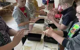 3 (4)