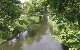 Dębinek 2