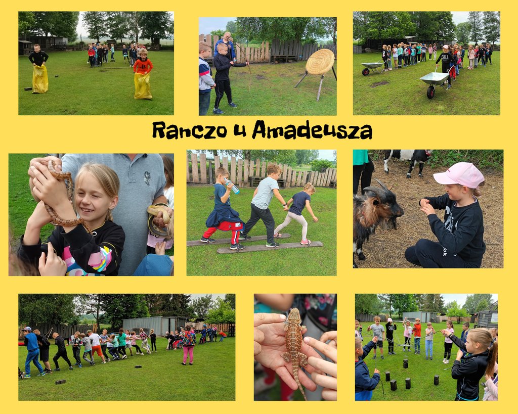 2b i 2d na Ranczu u Amadeusza Kolaż przedstawiający zabawy uczniów klas 2b i 2d podczas wycieczki na Ranczo Amadeusza.