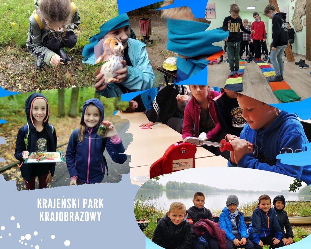 Mali przyrodnicy Kolaż przedstawiający uczniów na zajęciach przyrodniczych w Krajeńskim Parku Krajobrazowym