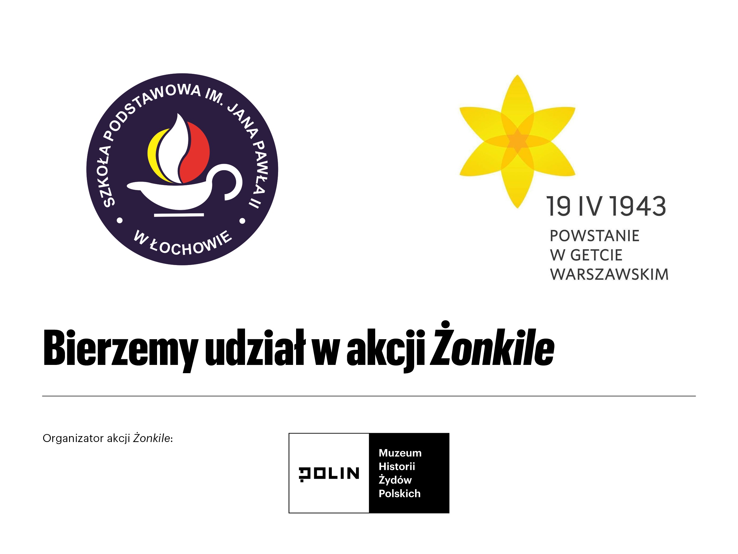 Żonkile