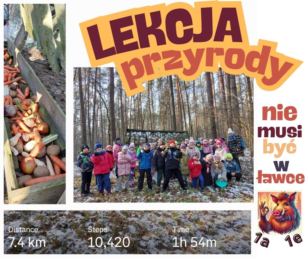 Kolaż zdjęć: paśnik pełen warzyw i&nbsp;owoc&oacute;w dla zwierząt, dzieci wraz z&nbsp;wychowawczyniami pozujące do zdjęcia na&nbsp;tle paśnika, dystans, ilość krok&oacute;w oraz&nbsp;czas