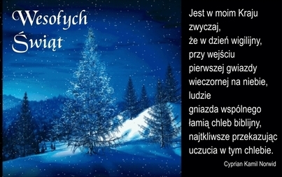 Zdjęcie do  