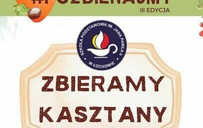 Zdjęcie do Zbieramy kasztany