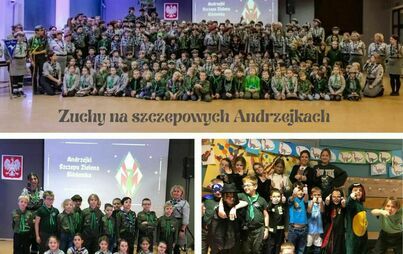 Zdjęcie do Andrzejki szczepu Zielona Si&oacute;demka