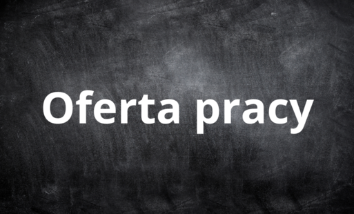 Zdjęcie do Pracownik obsługi