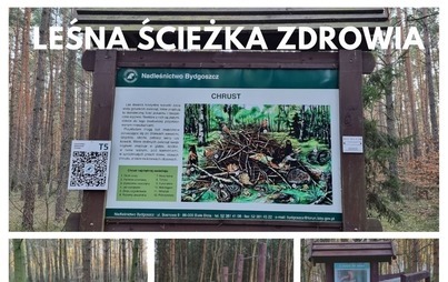 Zdjęcie do Leśna ścieżka zdrowia