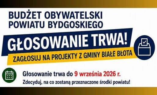 Zdjęcie do Budżet Obywatelski Powiatu Bydgoskiego 2027 &ndash; GŁOSUJEMY!